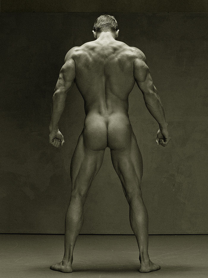 Back View