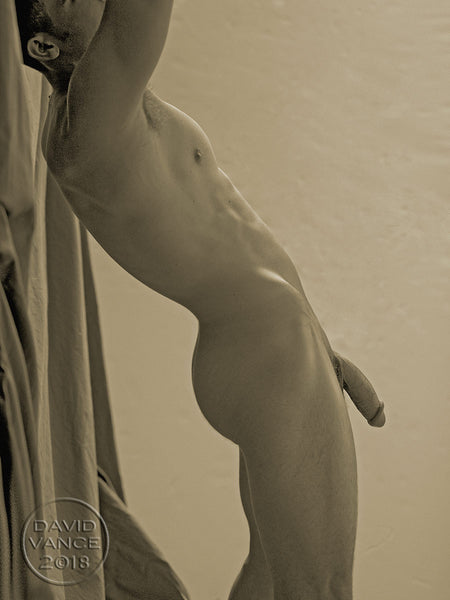PERFECT FORM