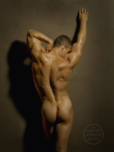 PERFECT POSTERIOR
