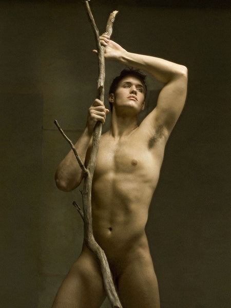 The Enchanted Branch